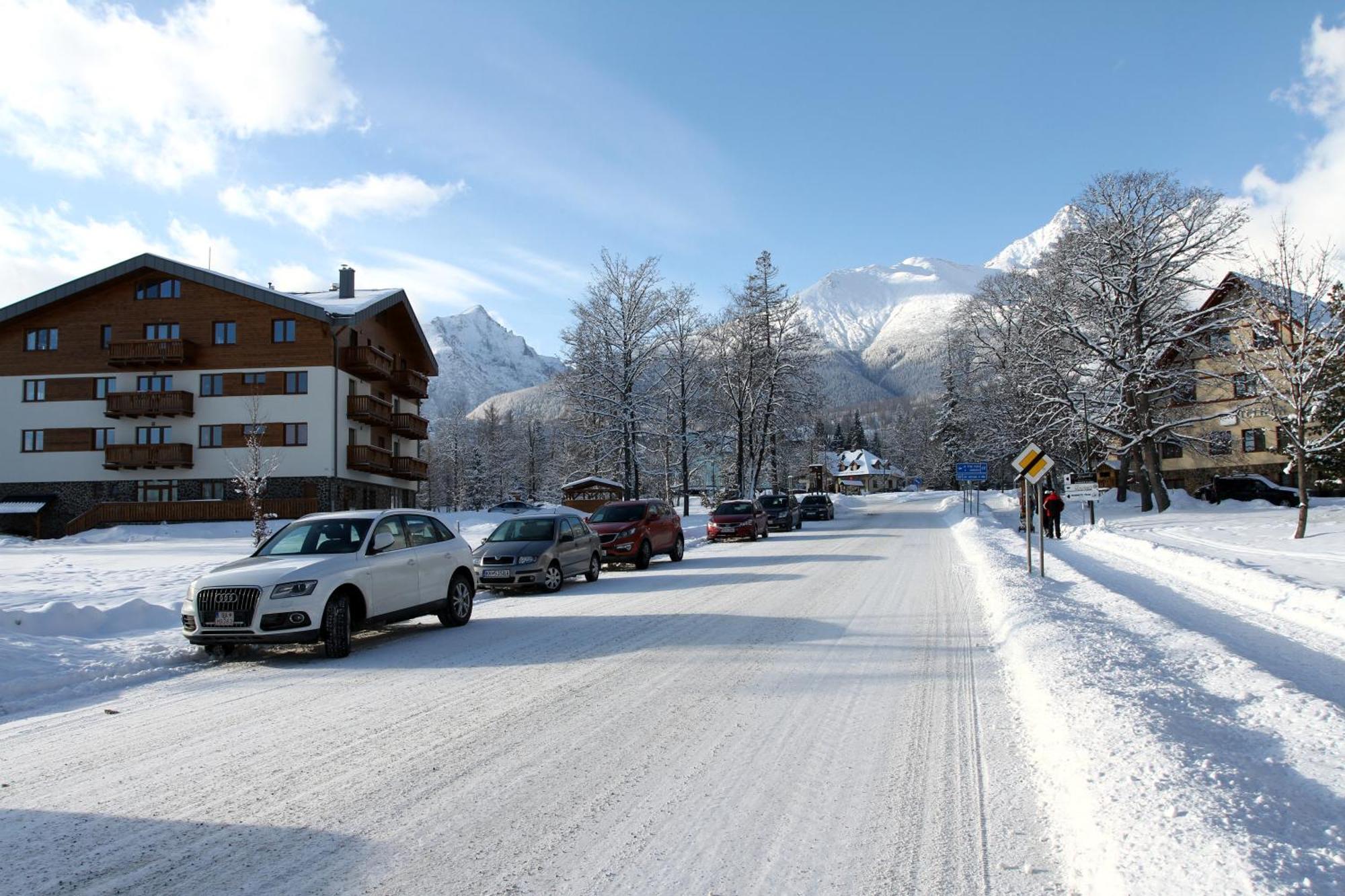 Vila Borievka ตาตรันสกา ลอมนีจา ภายนอก รูปภาพ